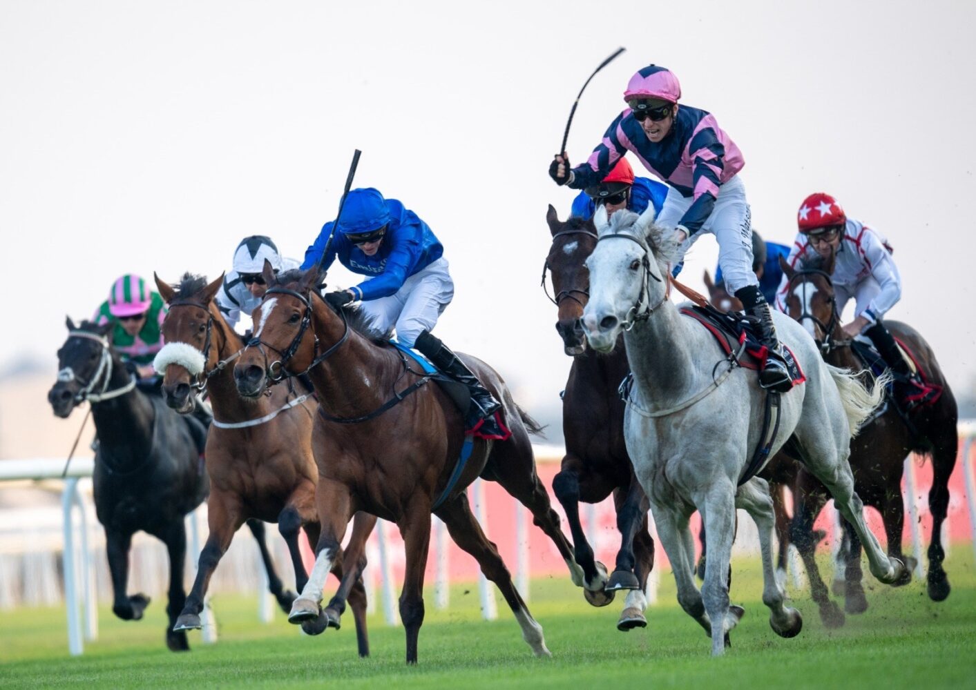From last-to-first! “Horse of a lifetime” Lord Glitters delivers fairy-tale result in Bahrain
