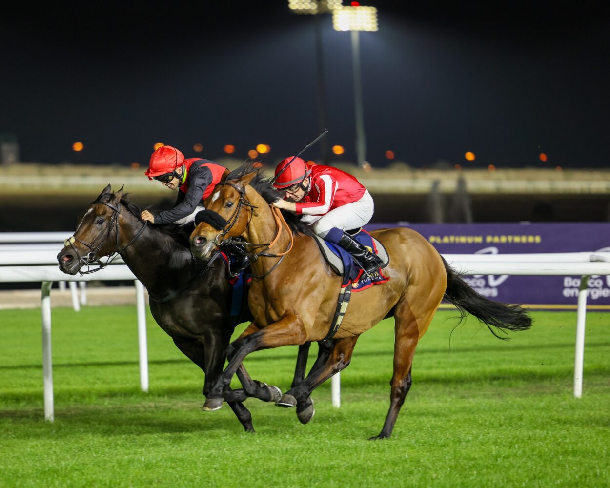 Big Race Preview by Total Performance Data: The Crown Prince’s Cup (Sponsored by Cebarco)