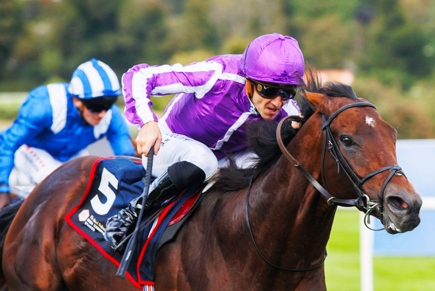 Delacroix delivers in Royal Bahrain Irish Champion Stakes