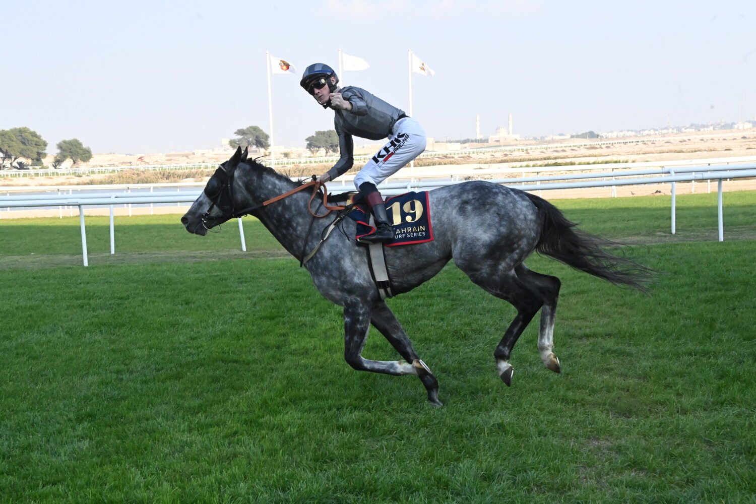 Egan swoops on Deep Intrigue to land the spoils in Al Wasmiya Cup