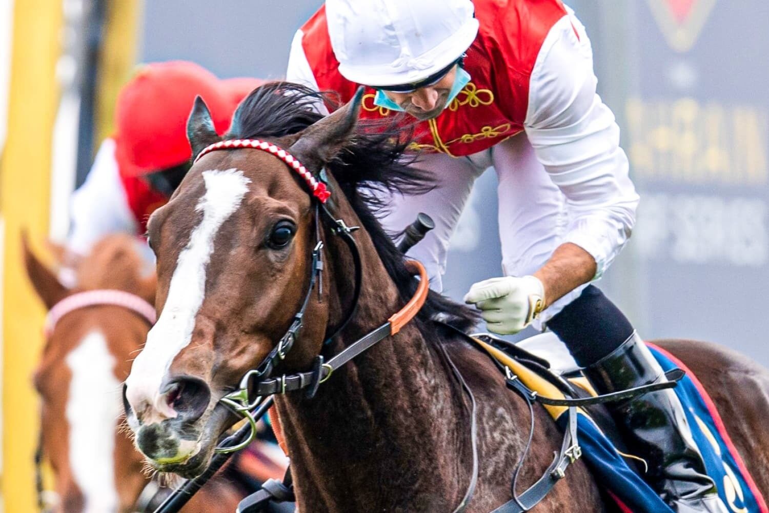 Inspired Neil Callan delivers Mars Landing to another victory in the Bahrain Turf Series