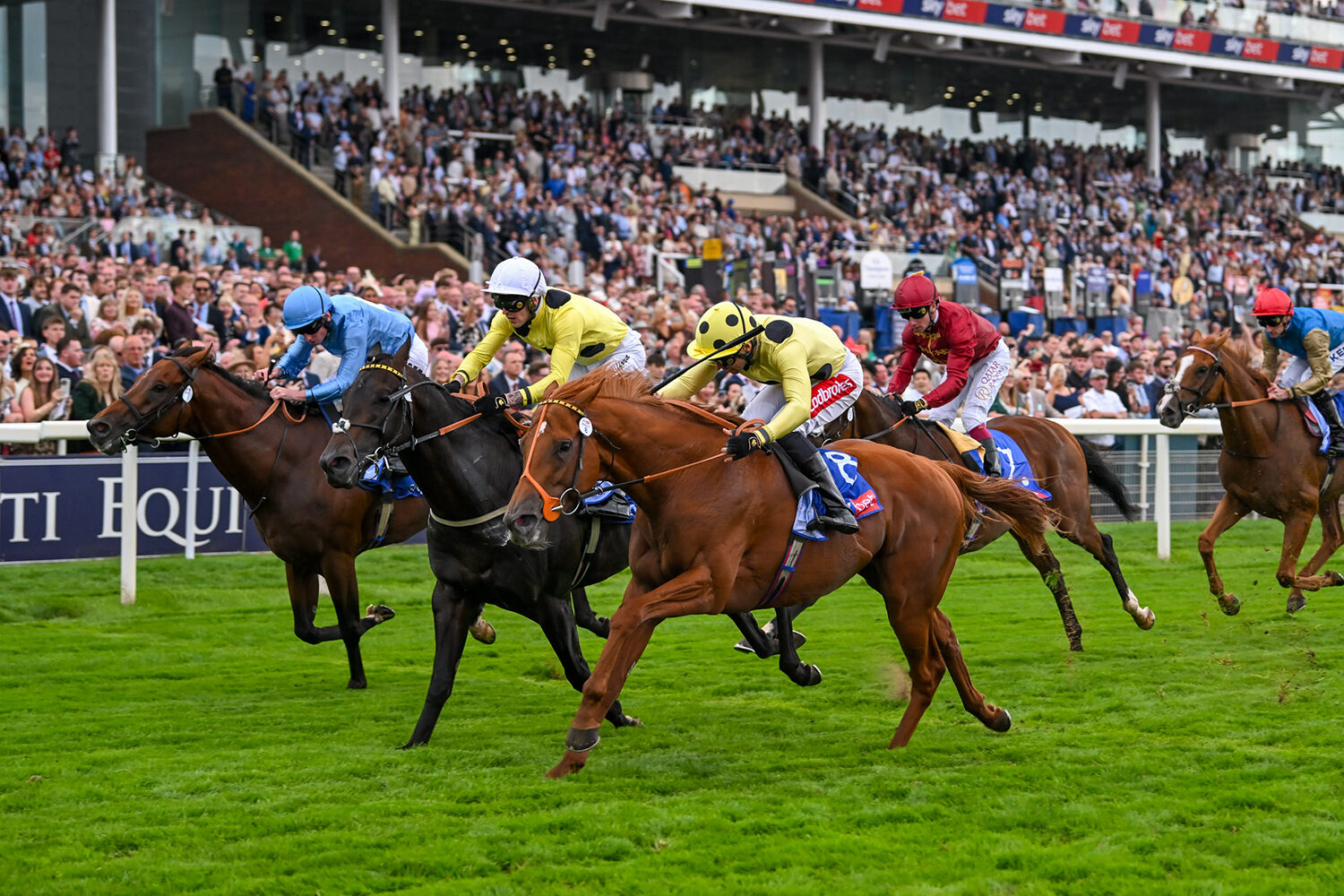 King Of Cities rules in York’s Strensall Stakes to secure Bahrain invitation