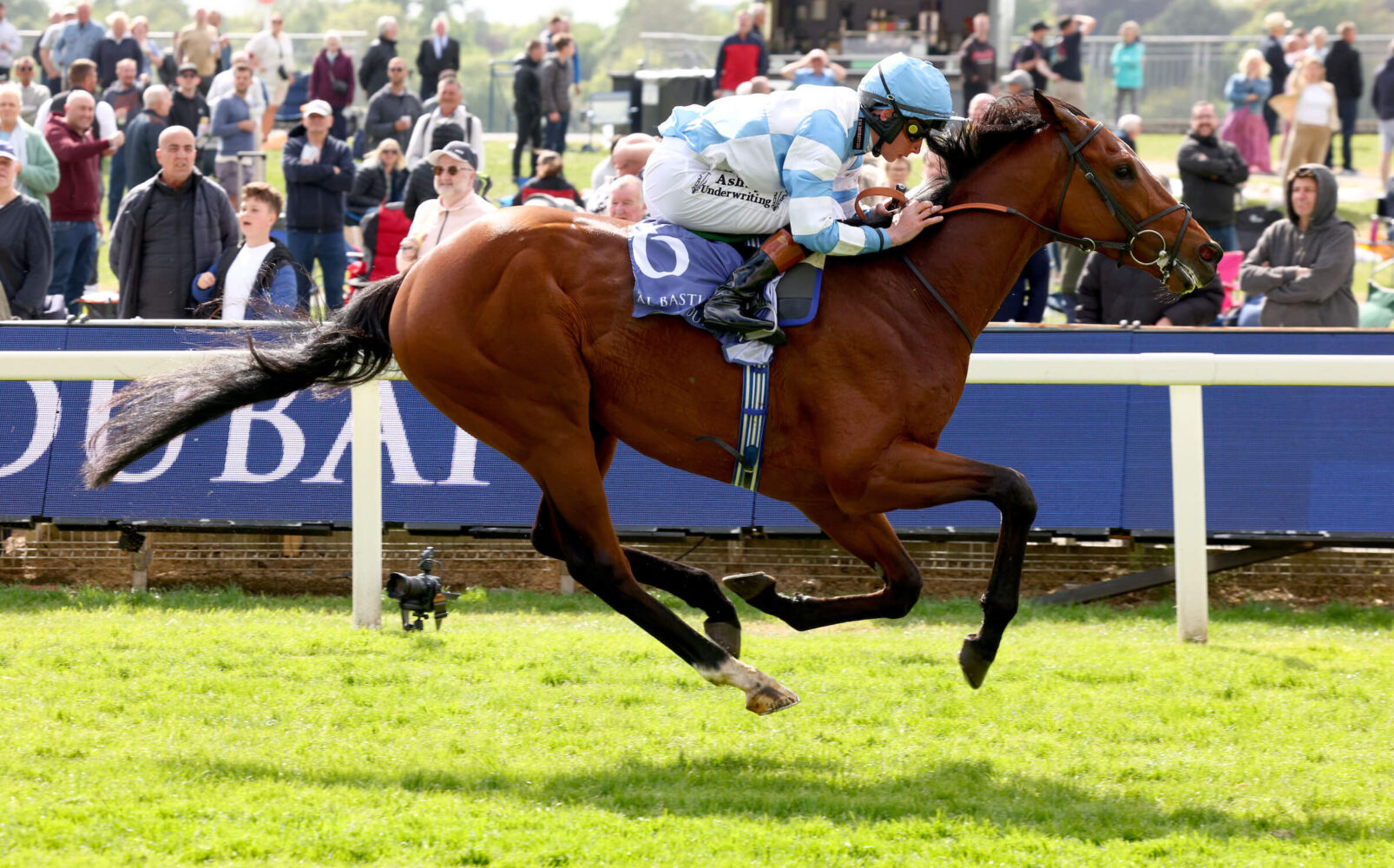 Pride of Arras joins line-up for Bahrain International Trophy