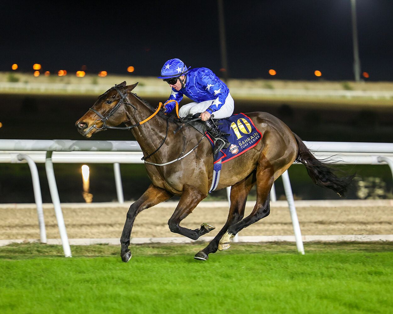 Cromwell’s Snellen out to stop the Scott bandwagon in the Crown Prince’s Cup