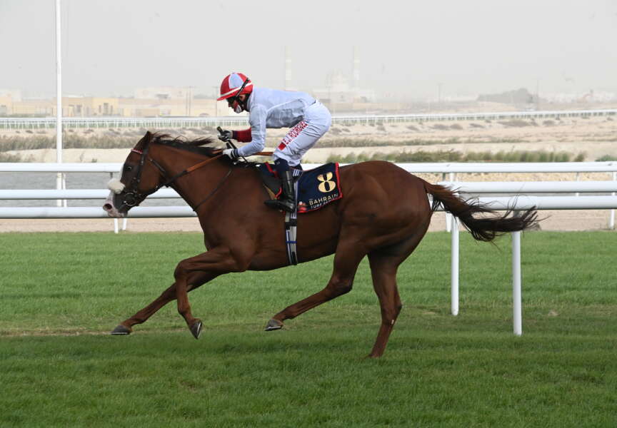 Happy Craf strikes again with a second Bahrain Turf Series success