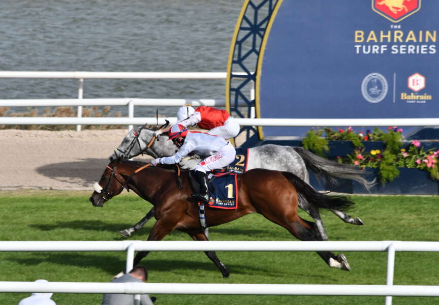 More success for local trainers in The Hawar Cup & Anchorman Cup!