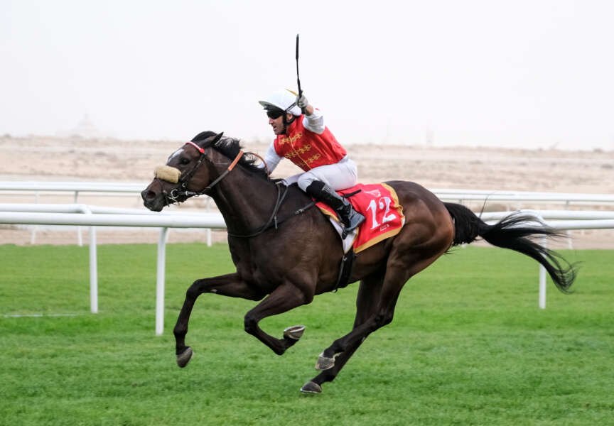 Jubilant Callan storms to victory aboard “running machine” Zagato in King’s Cup rout