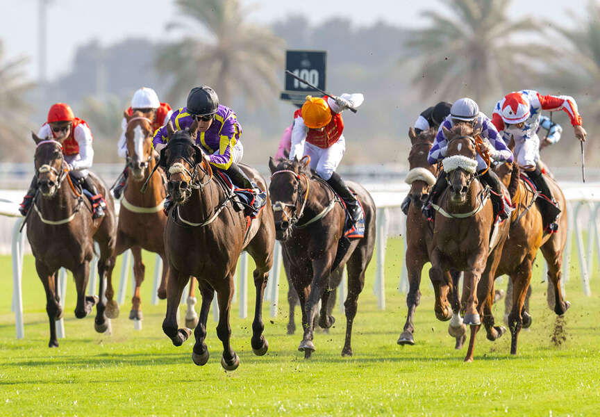 Strong fields for £60,000 Al Riffa Cup & Al Dana Cup as the Bahrain Turf Series continues tomorrow