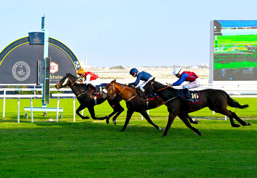 British-trained horses lead the way in Bahrain Turf Series