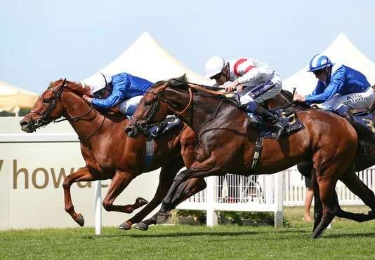 James Ferguson hoping progressive Deauville Legend can land Bahrain Trophy