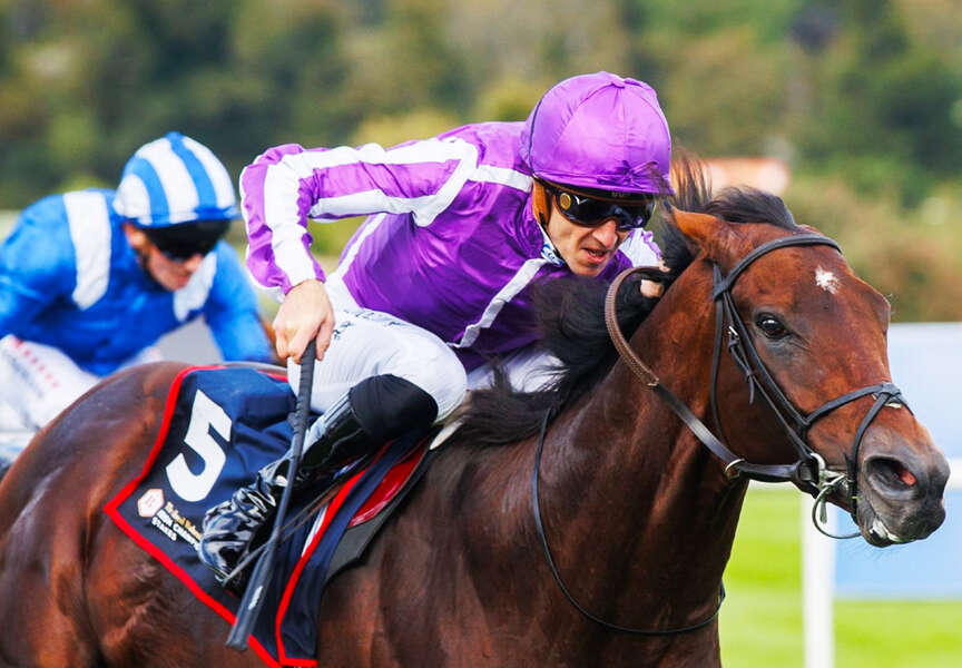 Delacroix delivers in Royal Bahrain Irish Champion Stakes