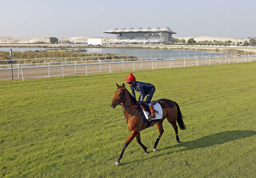 Fahey believes Fev Rover can make her mark in Bahrain