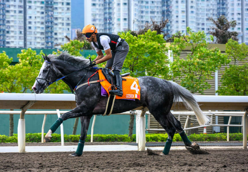 Bahrain’s best all set for Champions Day in Hong Kong