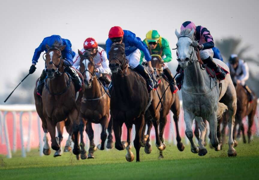 From last-to-first! “Horse of a lifetime” Lord Glitters delivers fairy-tale result in Bahrain