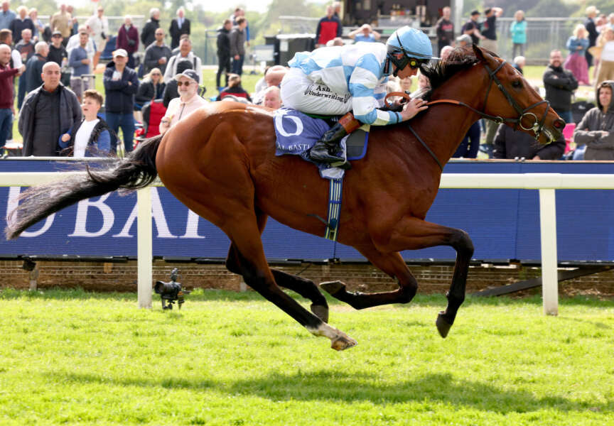 Pride of Arras joins line-up for Bahrain International Trophy