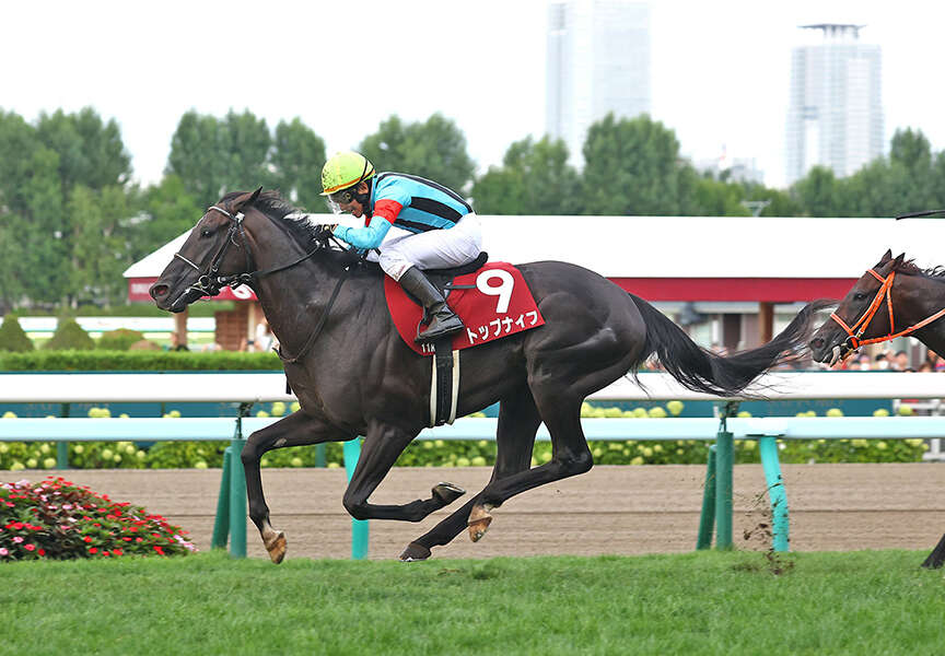 Victory in the Sapporo Kinen earns Top Knife an invite to the Bahrain International Trophy